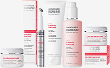ENERGYNATURE - System Pre-Aging