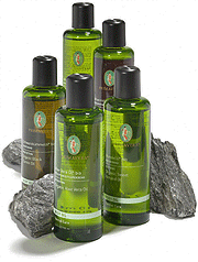 Primavera Basisöle und Mazerate