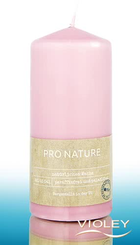 Pro Nature Stearin Stumpenkerze 150 x 68 mm, lila bei Violey